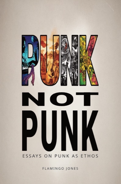 Punk Not Punk cover